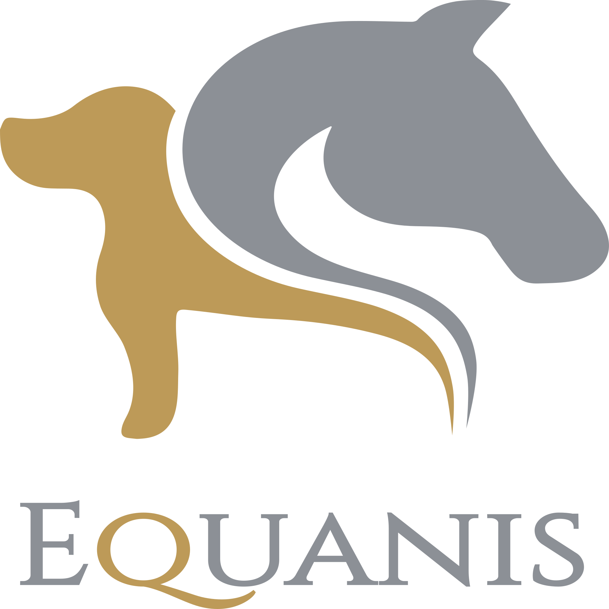 Logo Equanis