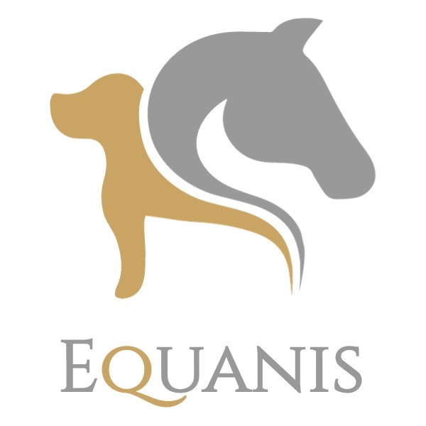 Logo Equanis
