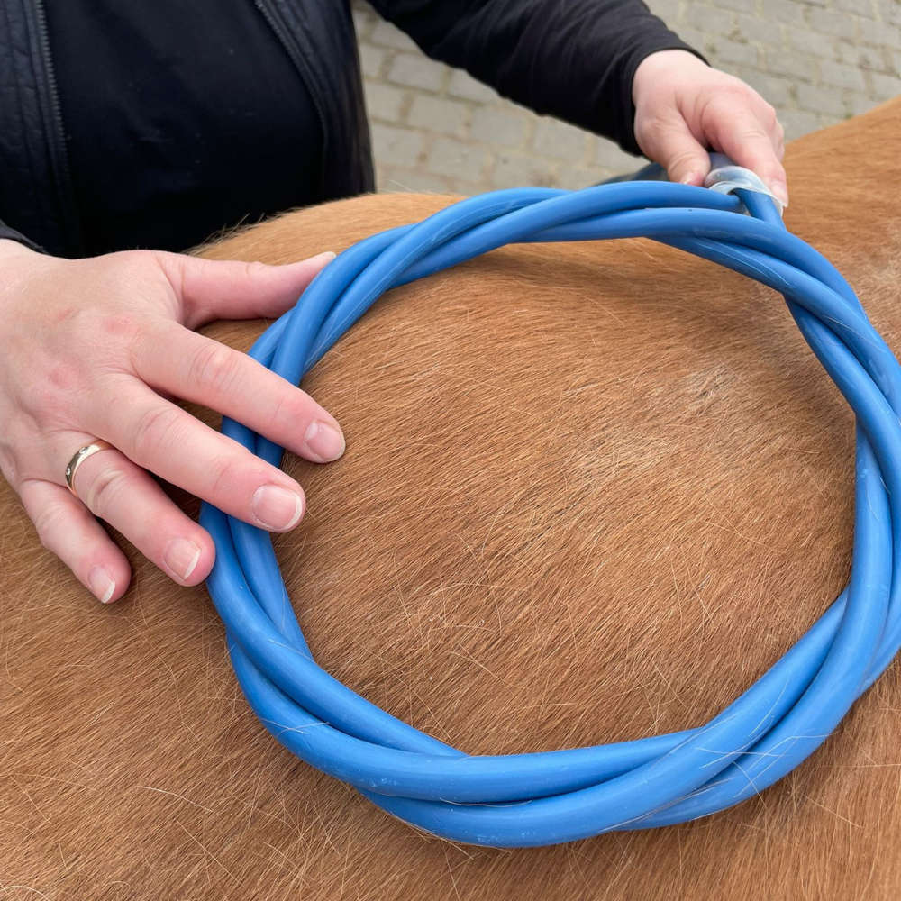 Pferd Kräuterkomplexe