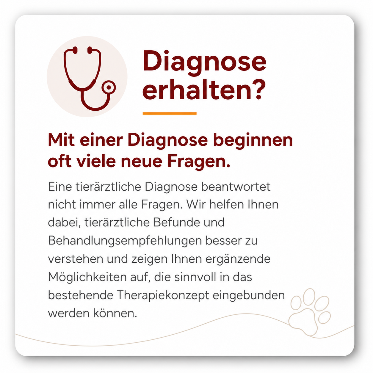 Tierärztliche Diagnose verstehen und weitere Möglichkeiten für die Hundegesundheit erkennen