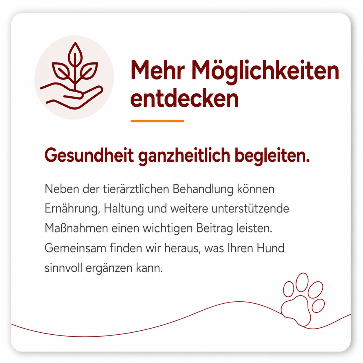 Ganzheitliche Hundegesundheit durch Ernährung, Haltung und individuelle Begleitung