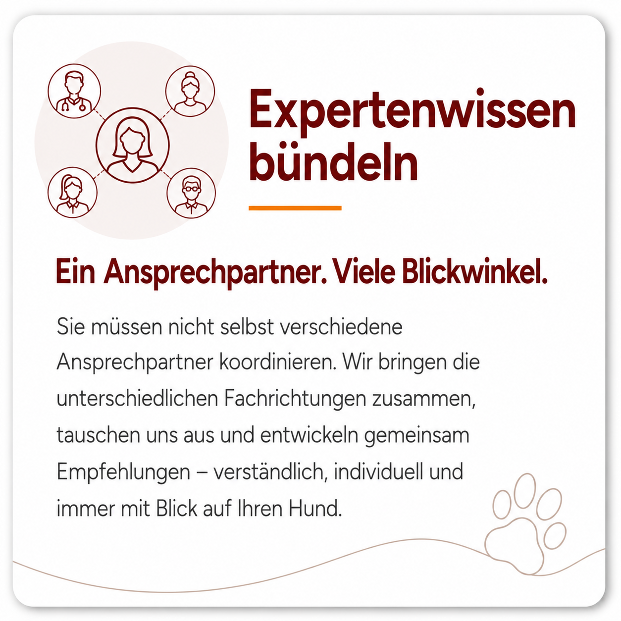Expertennetzwerk für die ganzheitliche Gesundheit Ihres Hundes