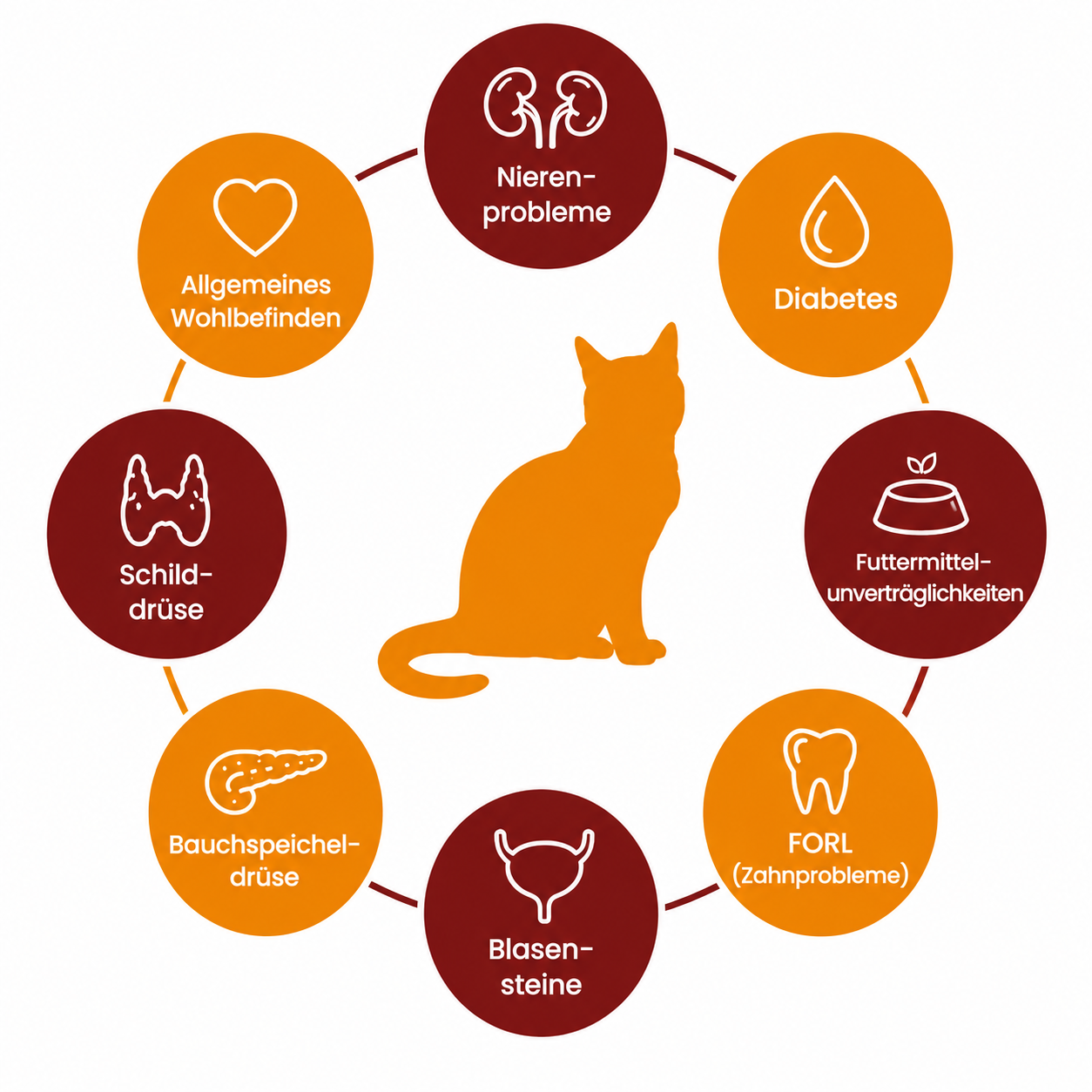 Gesunde Katze Grafik