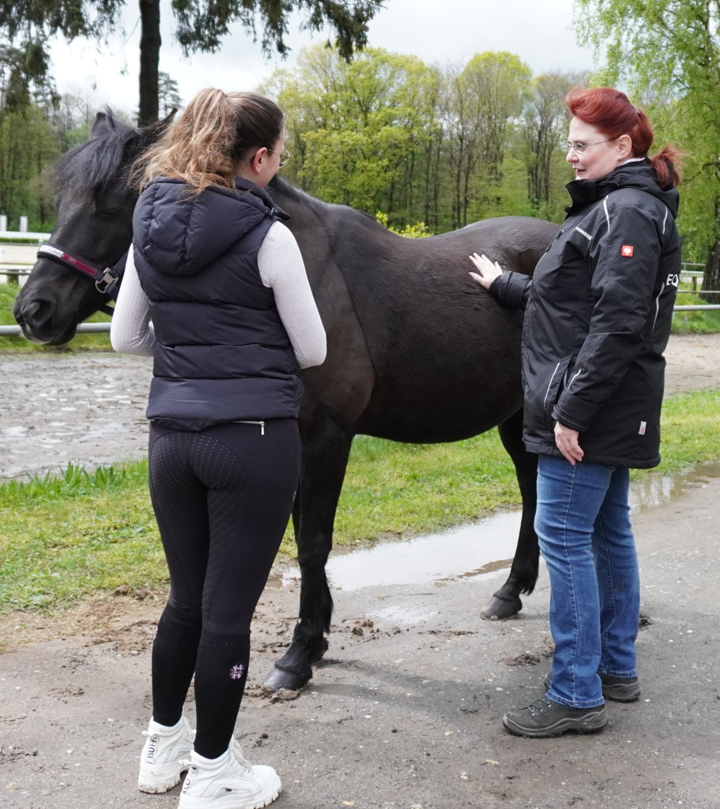 Langfristige Begleitung Langfristige Begleitung eines Pferdes
