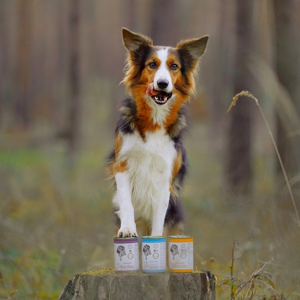 Hund mit Reico Nassfutter