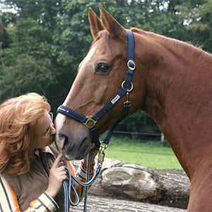 Equilogistik Über uns