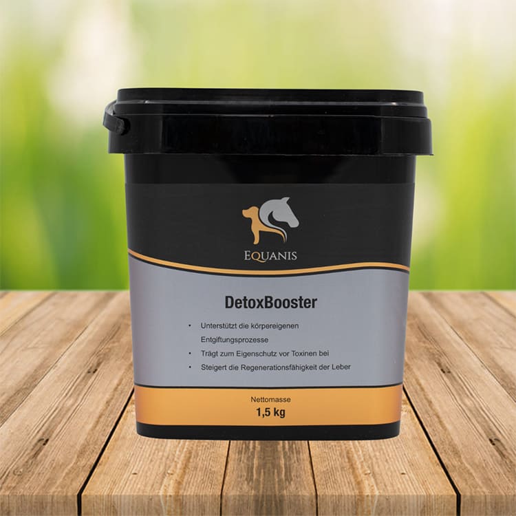 Equanis - DetoxBooster