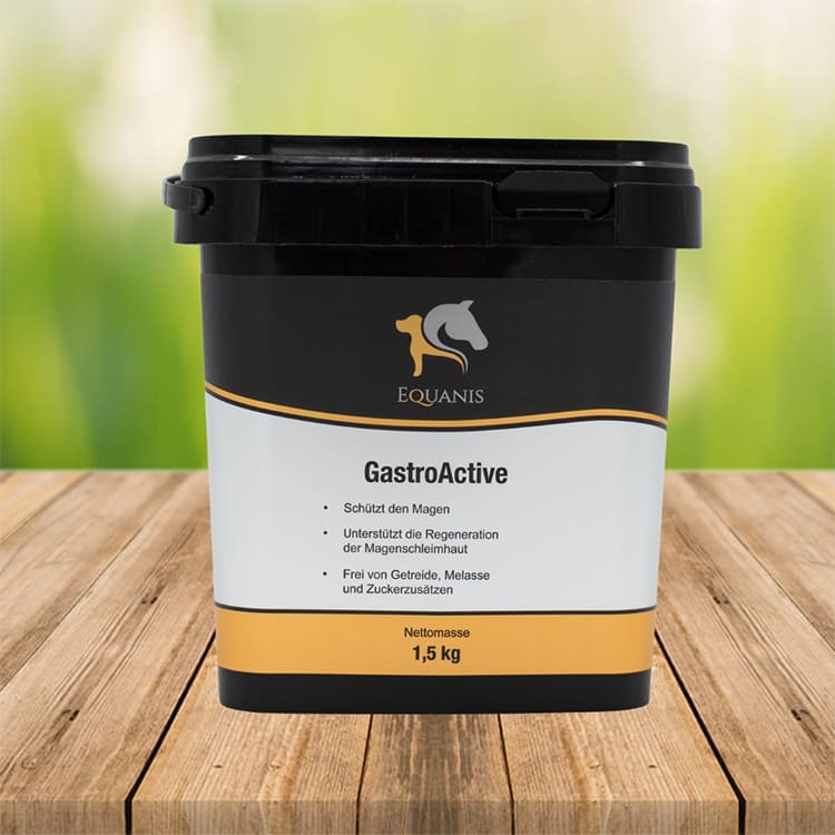Equanis GastroActive Magenkur Pferd