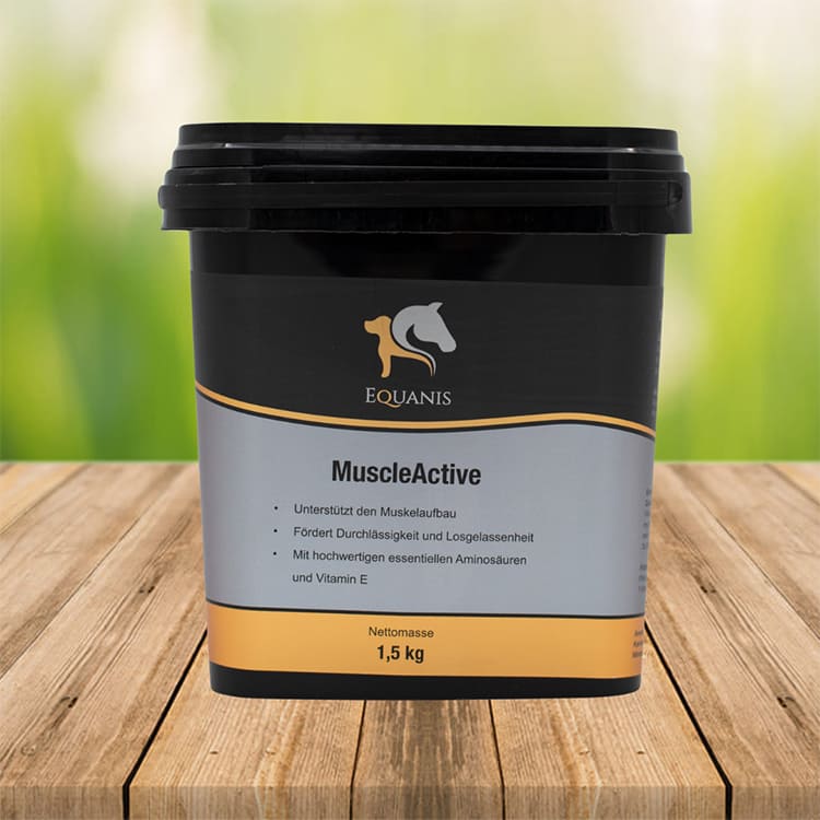 Equanis MuscleActive Muskelaufbau Pferd